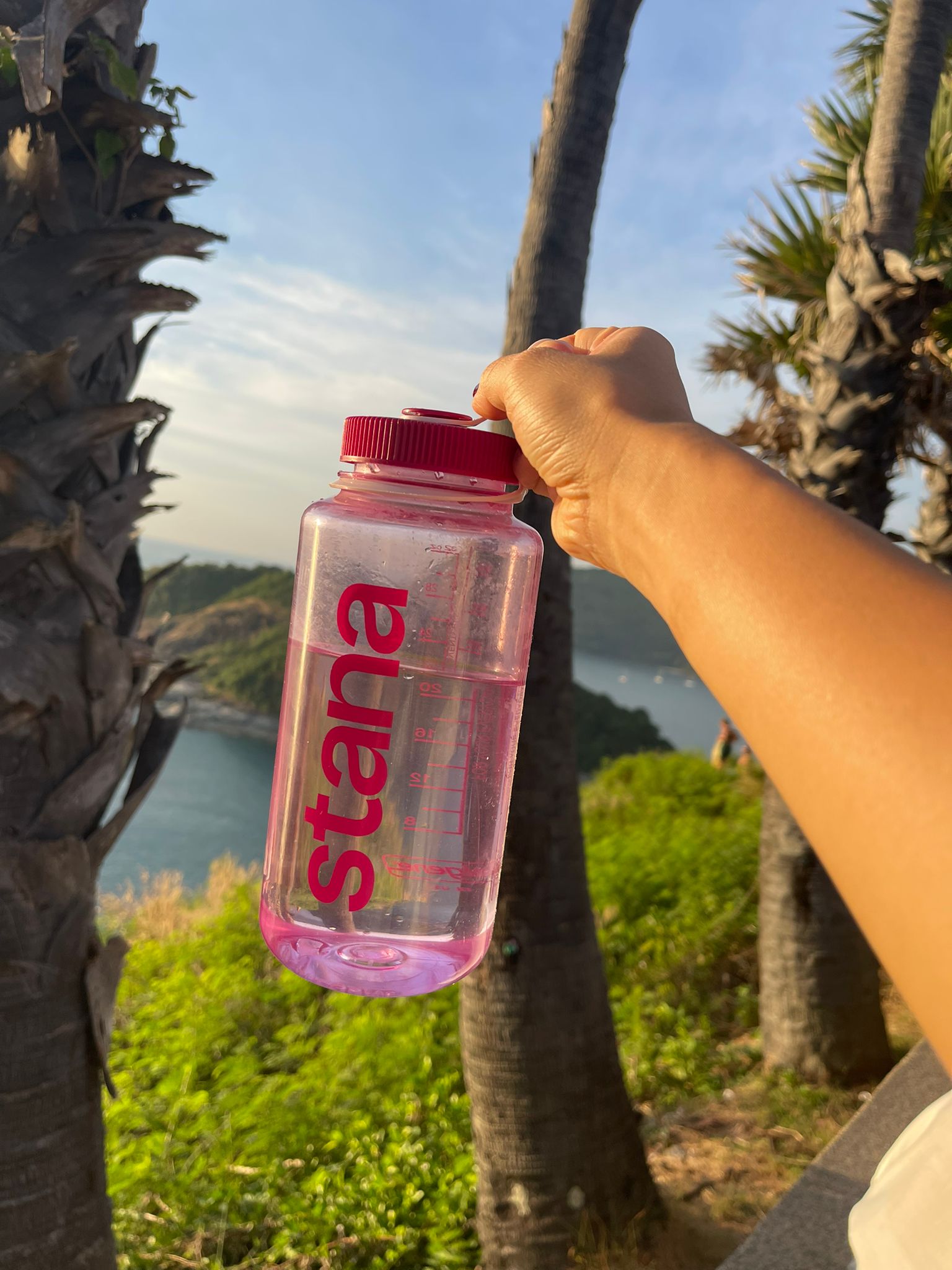 Stana water bottle in front of palm trees